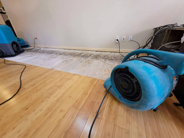 Professional Water Damage Repair technician working in Mount Vernon, GA